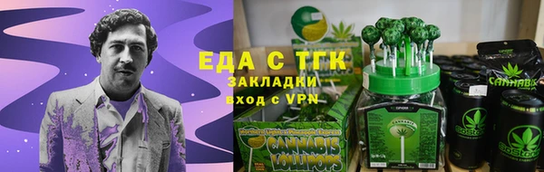 амф Ельня