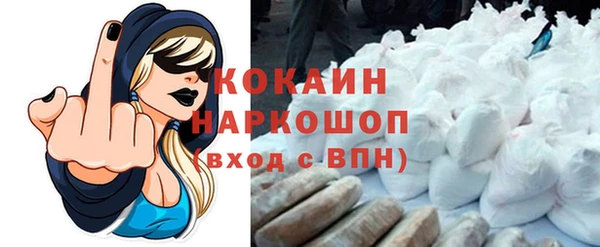 амф Ельня