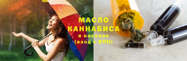 амф Ельня