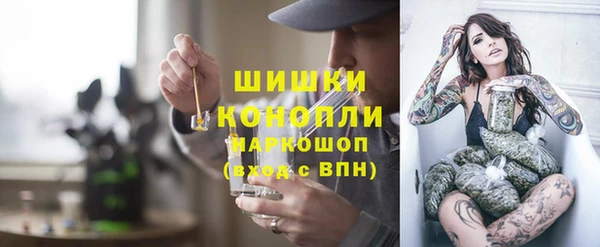 амф Ельня