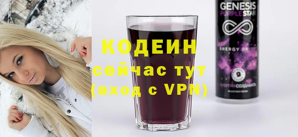 амф Ельня