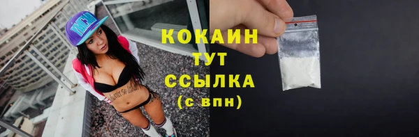 амф Ельня