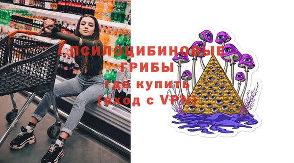 амф Ельня