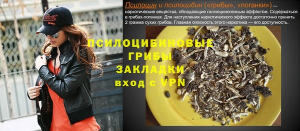 амф Ельня