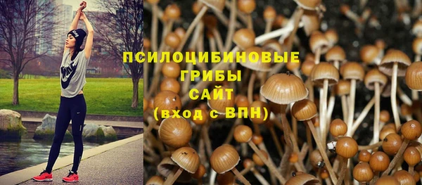 амф Ельня