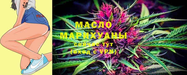амф Ельня
