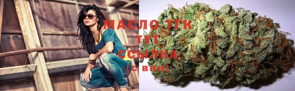 амф Ельня