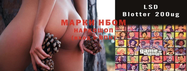 амф Ельня