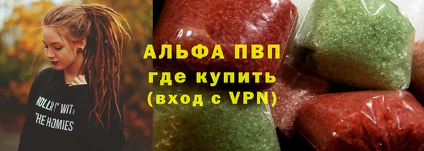 амф Ельня